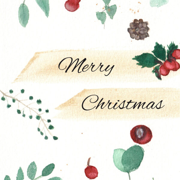 Weihnachtsbeeren